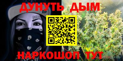 мдпв Рыбинск