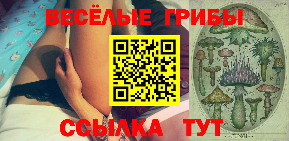 Псилоцибиновые грибы Cubensis  Вход с VPN  Оренбург  Галлюциногенные грибы GOLDEN TEACHER 